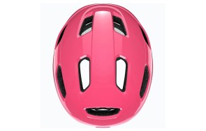 fuchsia lazer nutz
